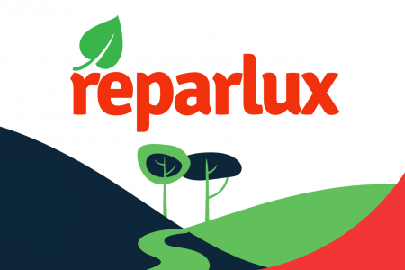 reparlux puntos carga
